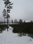Snowshoe hiking | Hagfors/Ekshärad | Värmland | Sweden